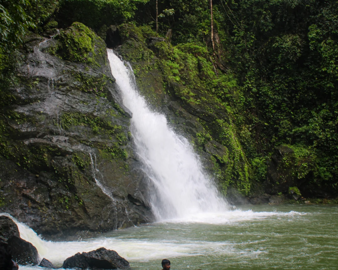 Agumbe gallery 5