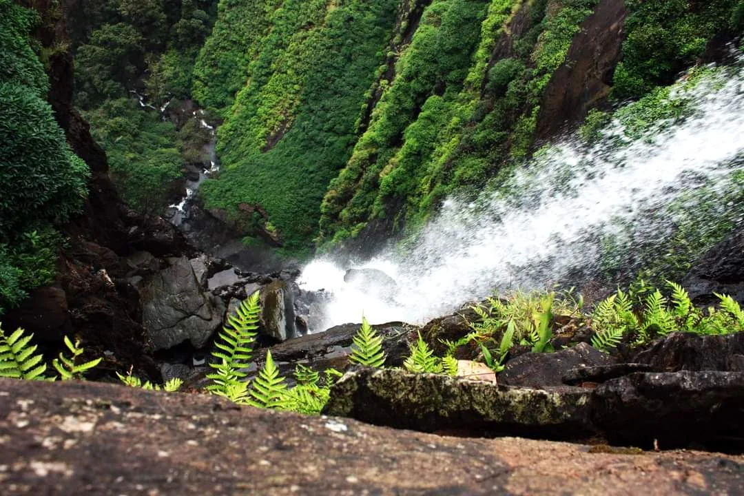 Agumbe gallery 6