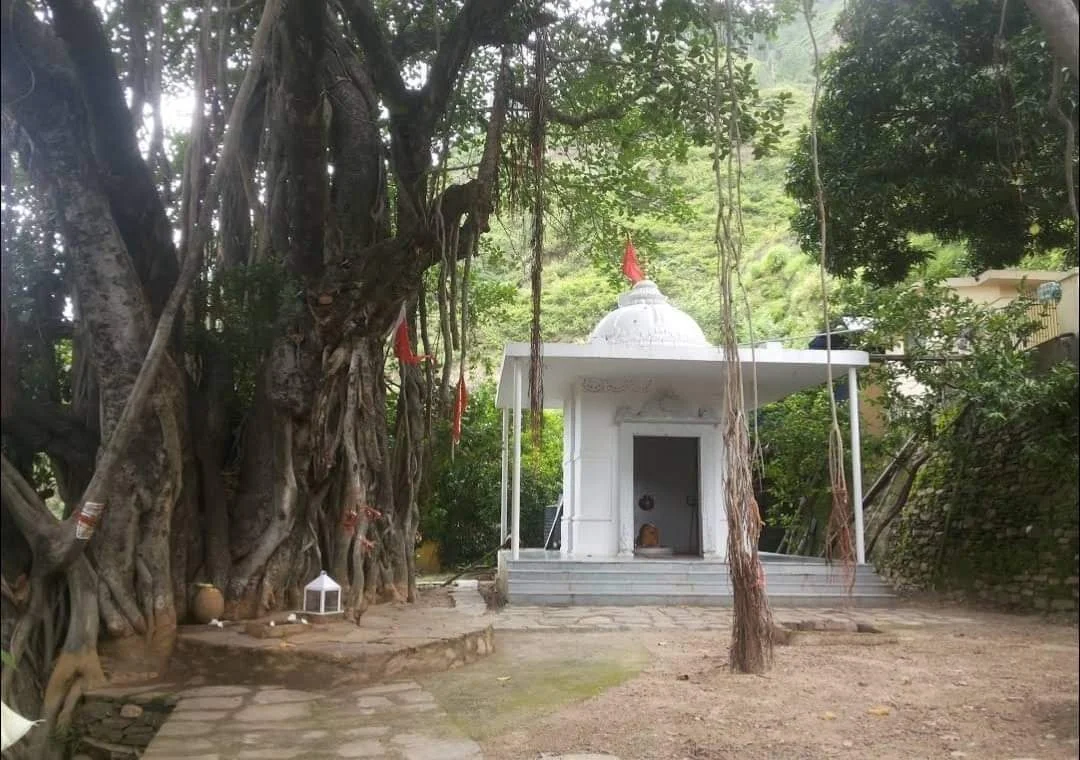 Almora gallery 3