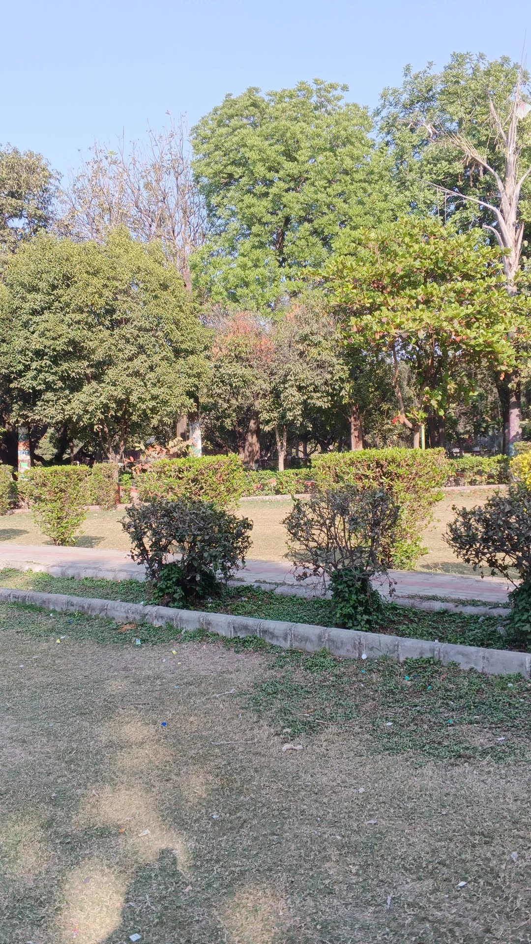 Amboli gallery 4