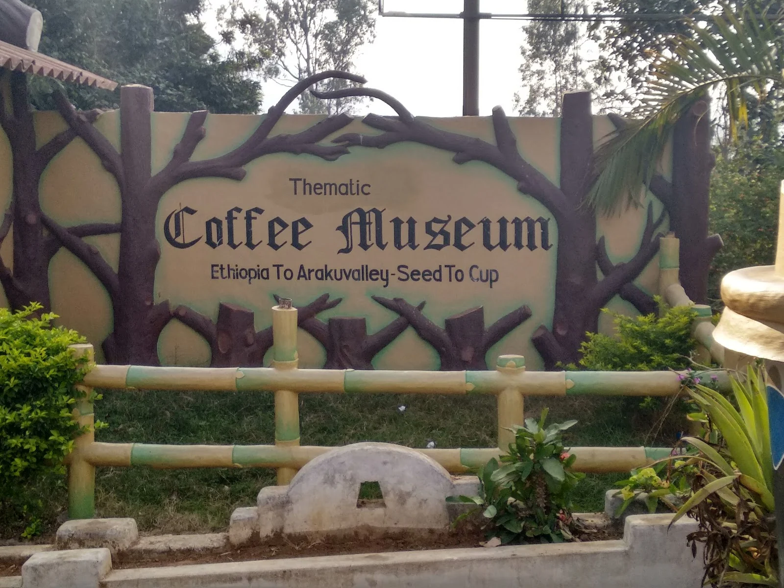 Araku Valley gallery 4