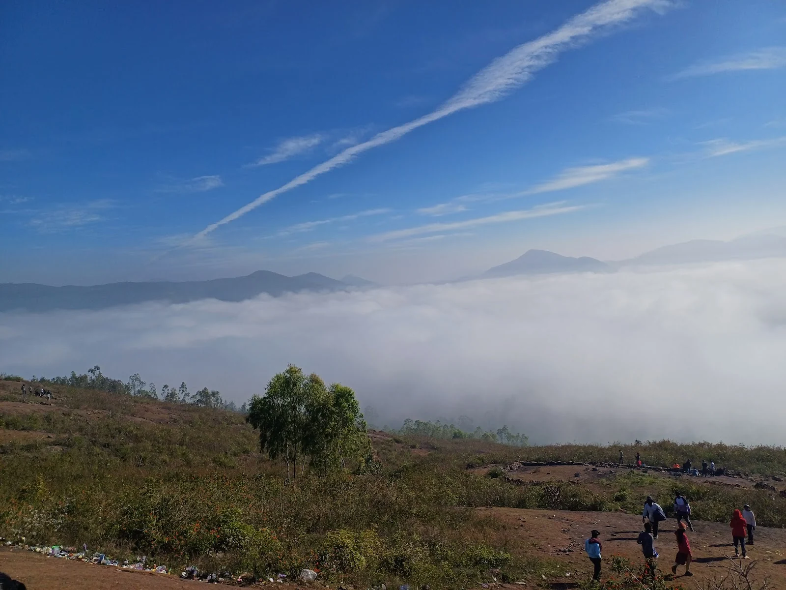 Araku Valley gallery 5