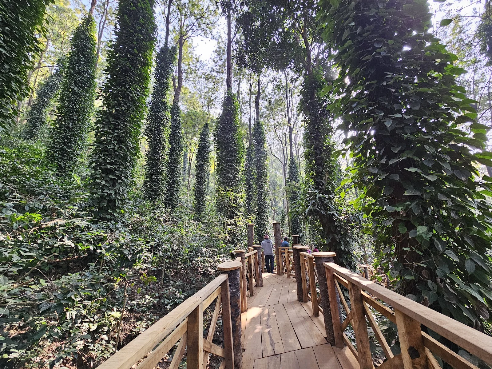 Araku Valley gallery 7