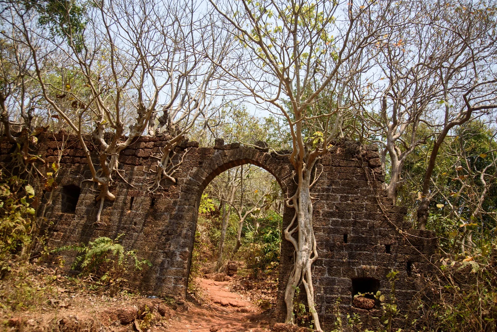 Arambol gallery 7