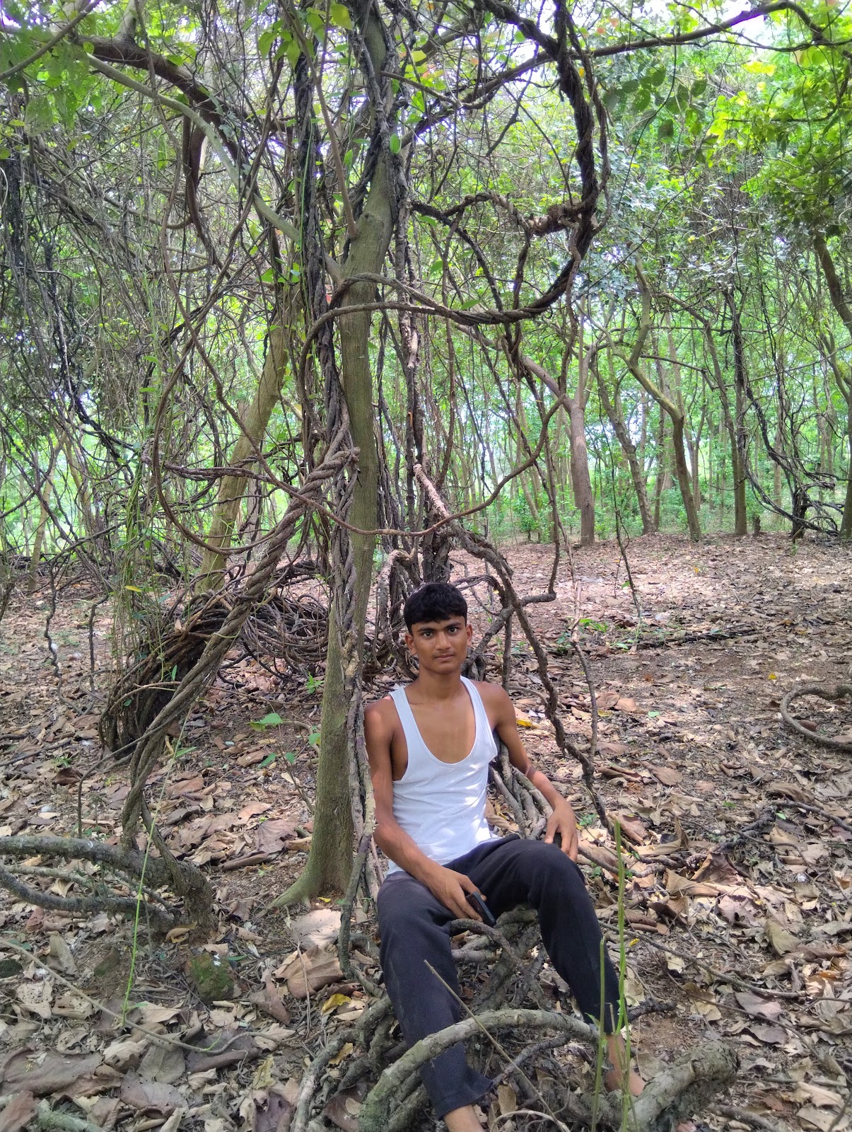 Araria gallery 3