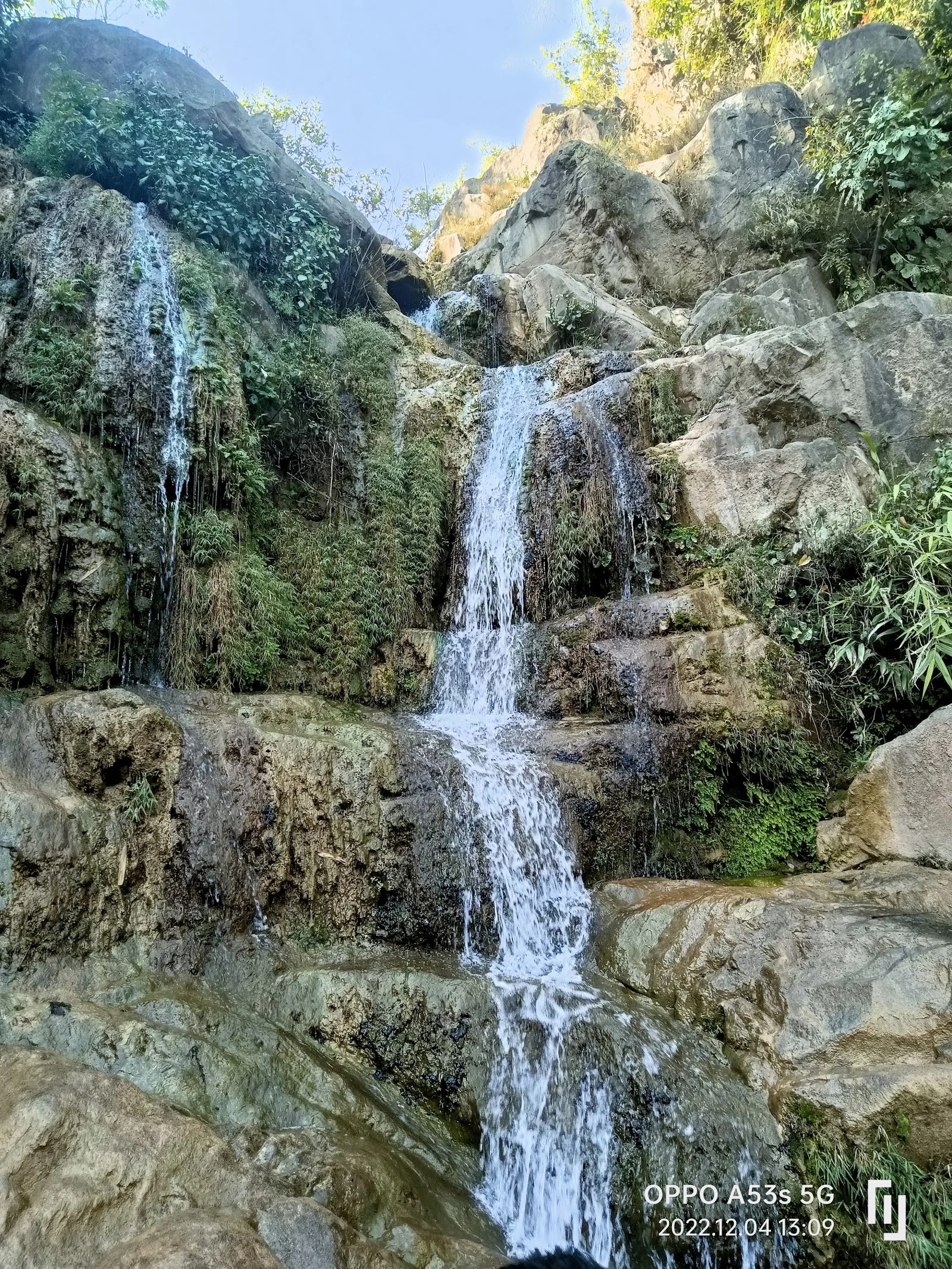 Baddi gallery 4