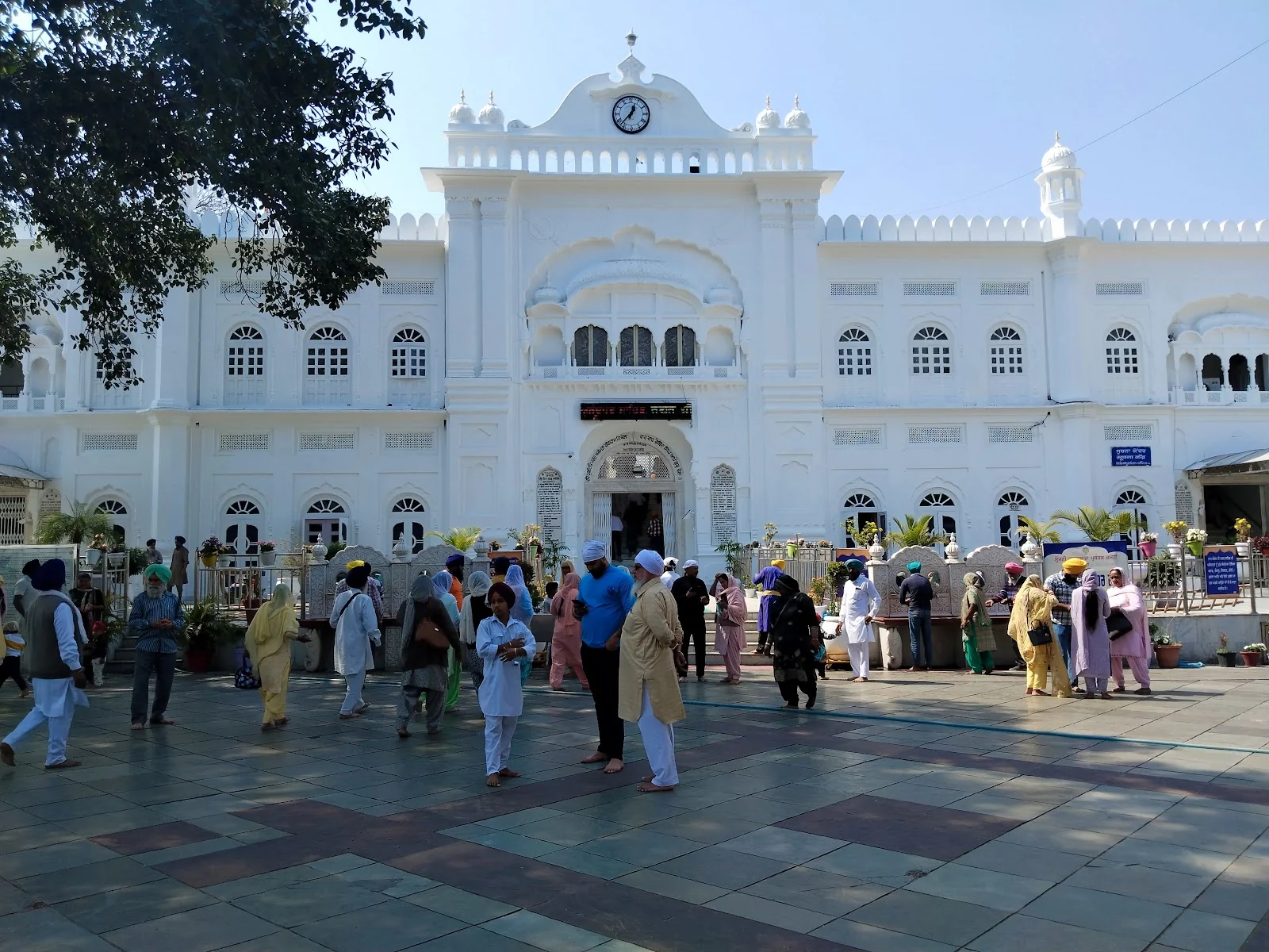 Baddi gallery 5