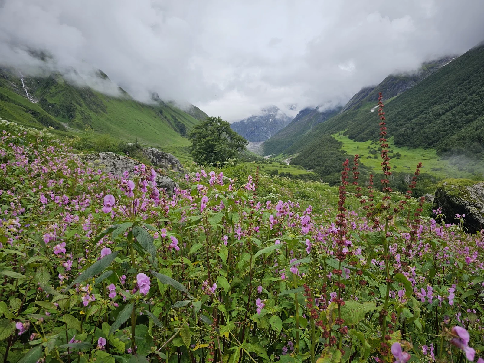 Badrinath gallery 1
