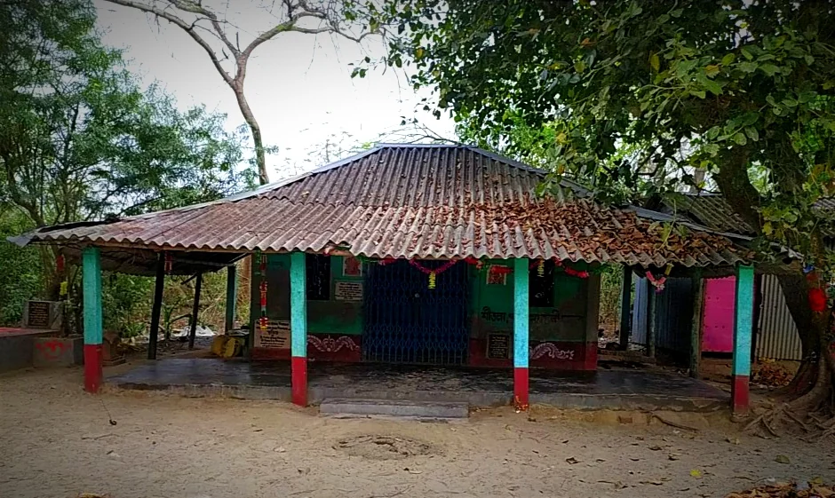 Bakkhali gallery 4