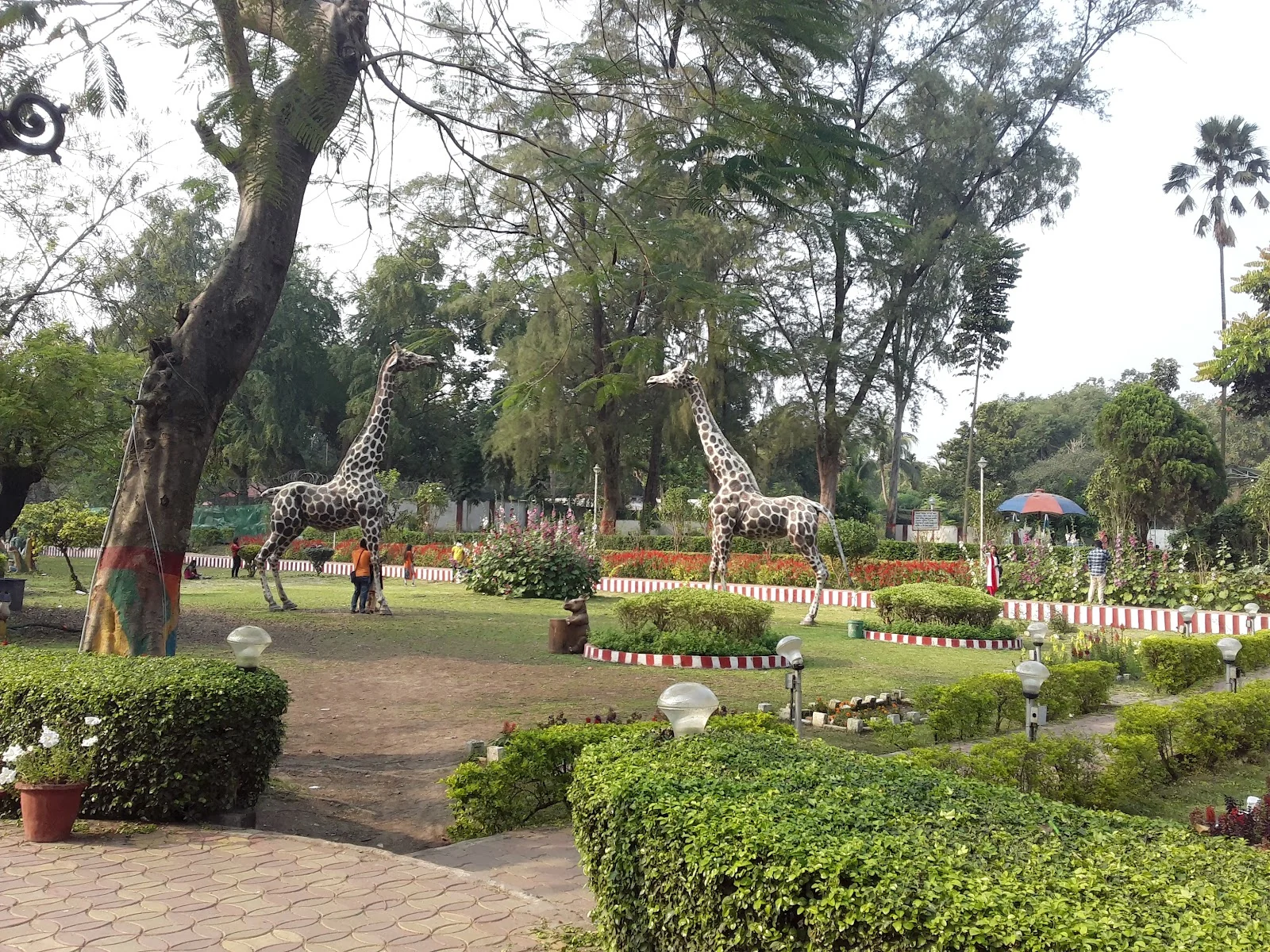 Bandipur gallery 6