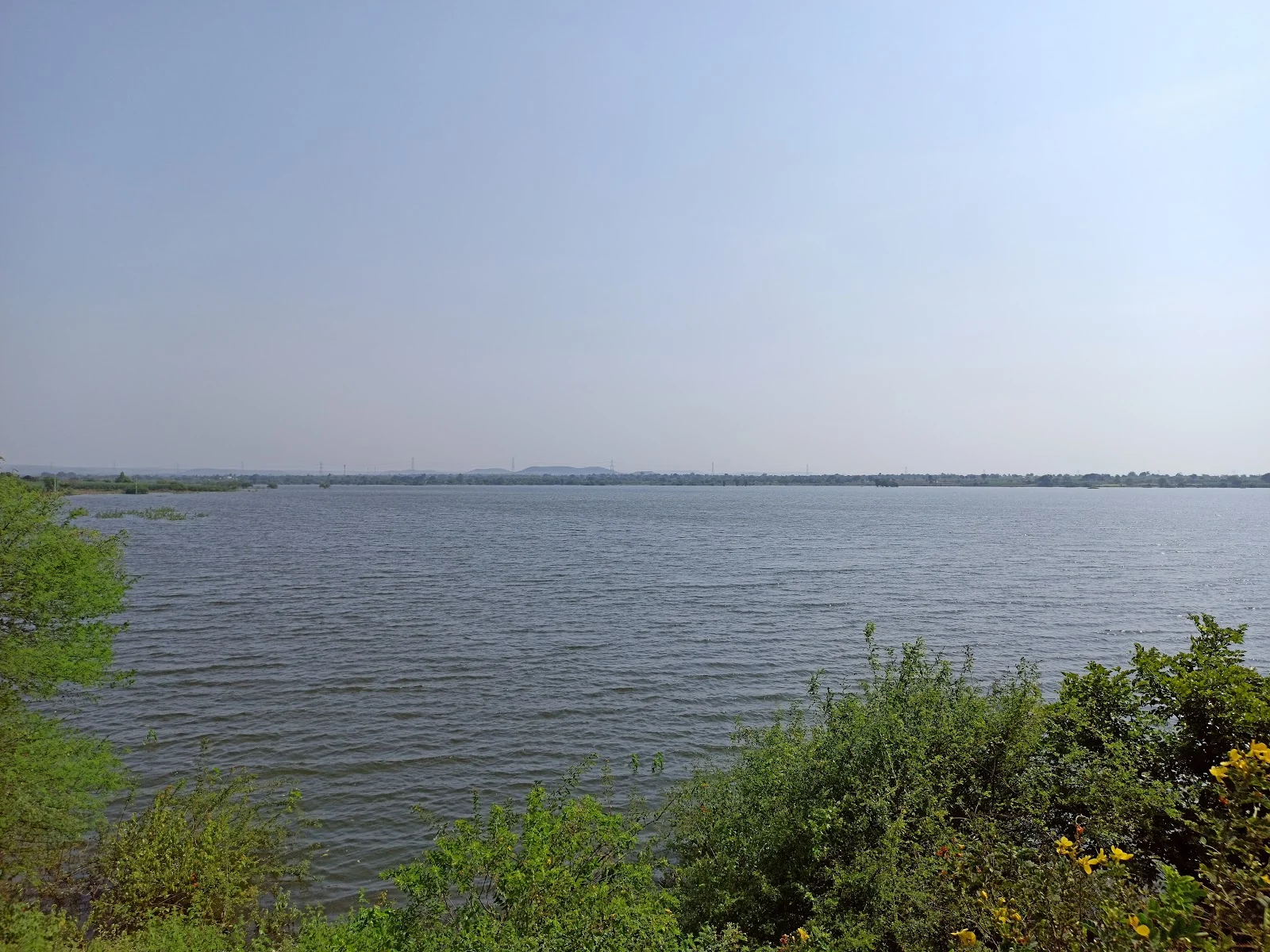 Barshi gallery 6