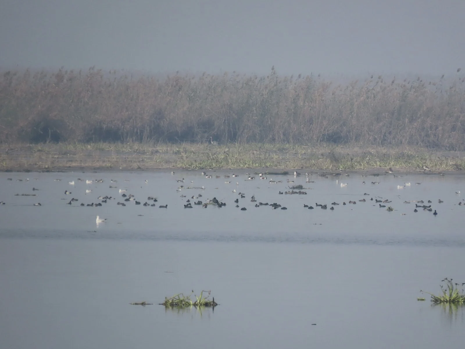 Bathinda gallery 5