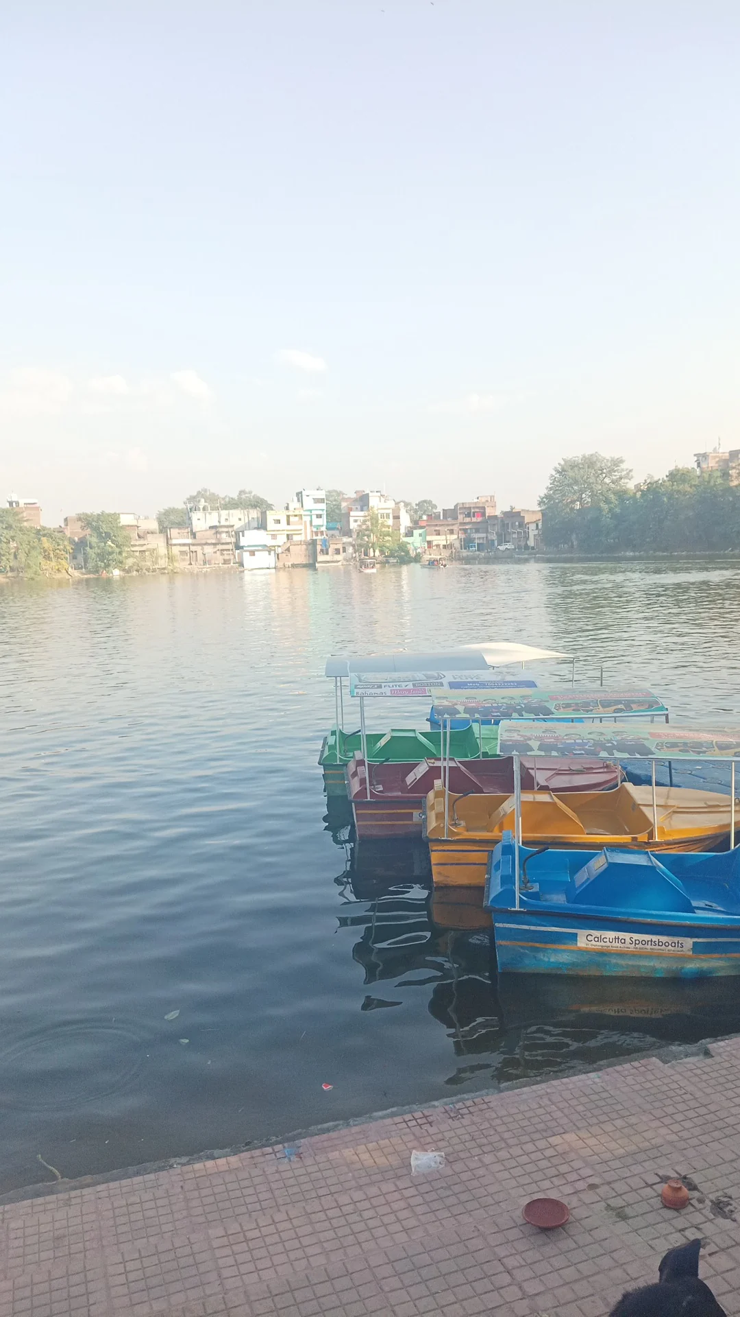 Bettiah gallery 2