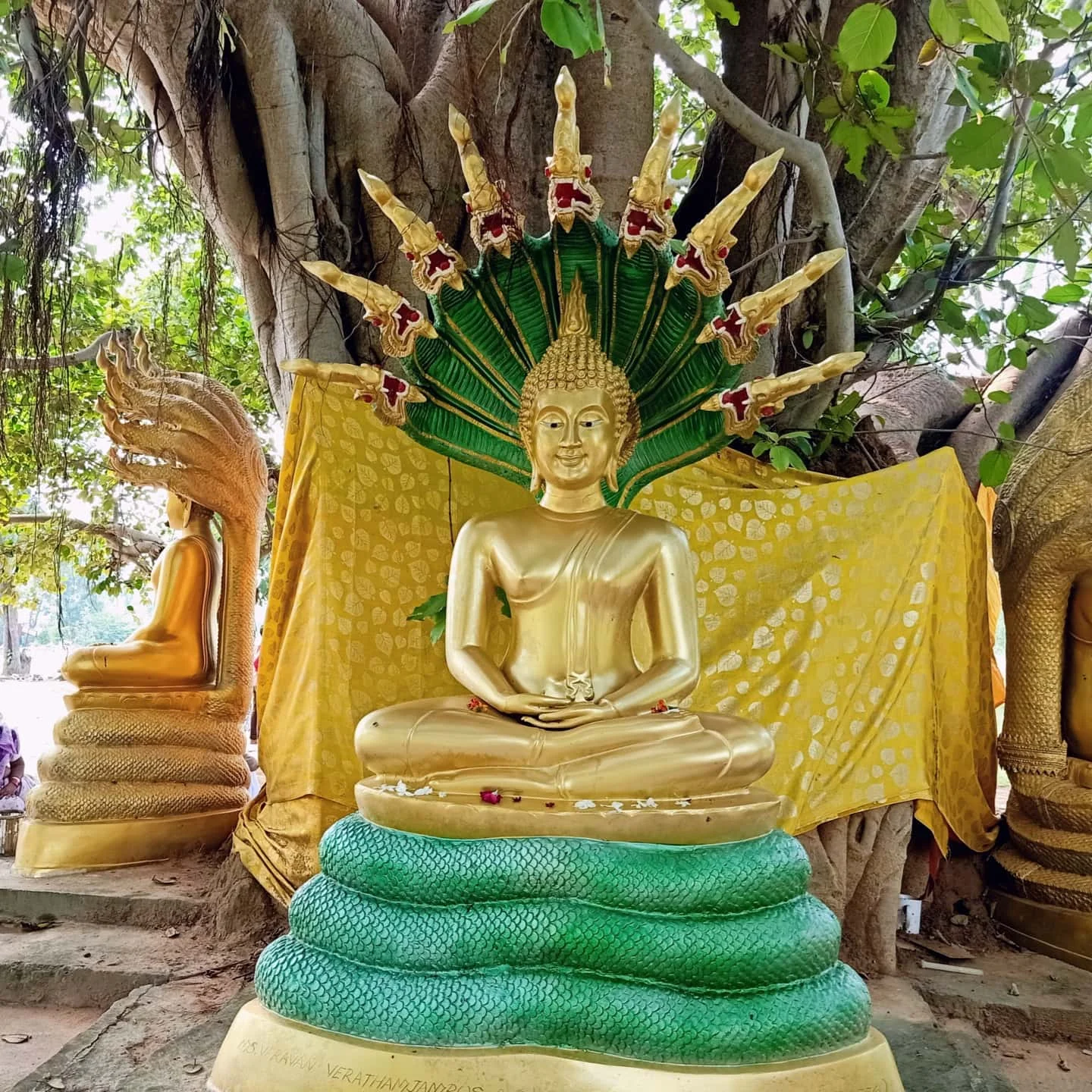Bhadravati gallery 5