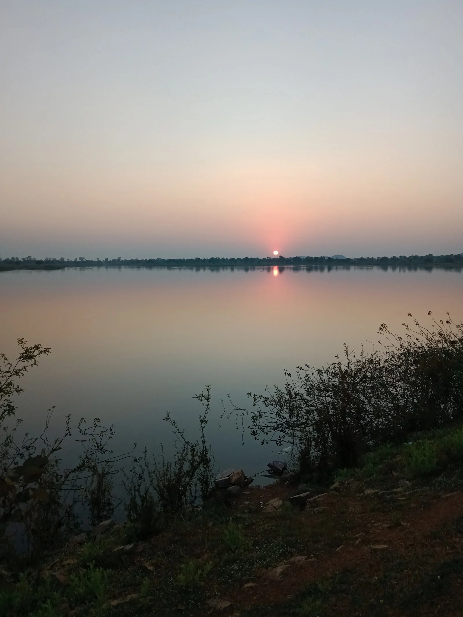 Bhandara gallery 2