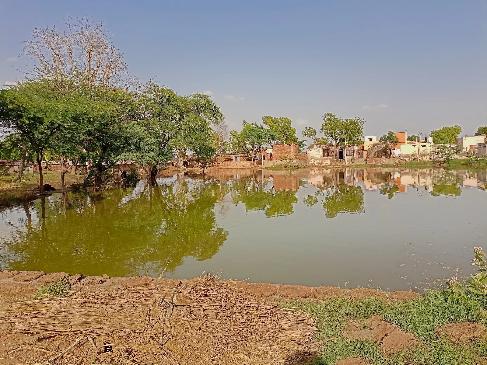 Bharatpur gallery 1