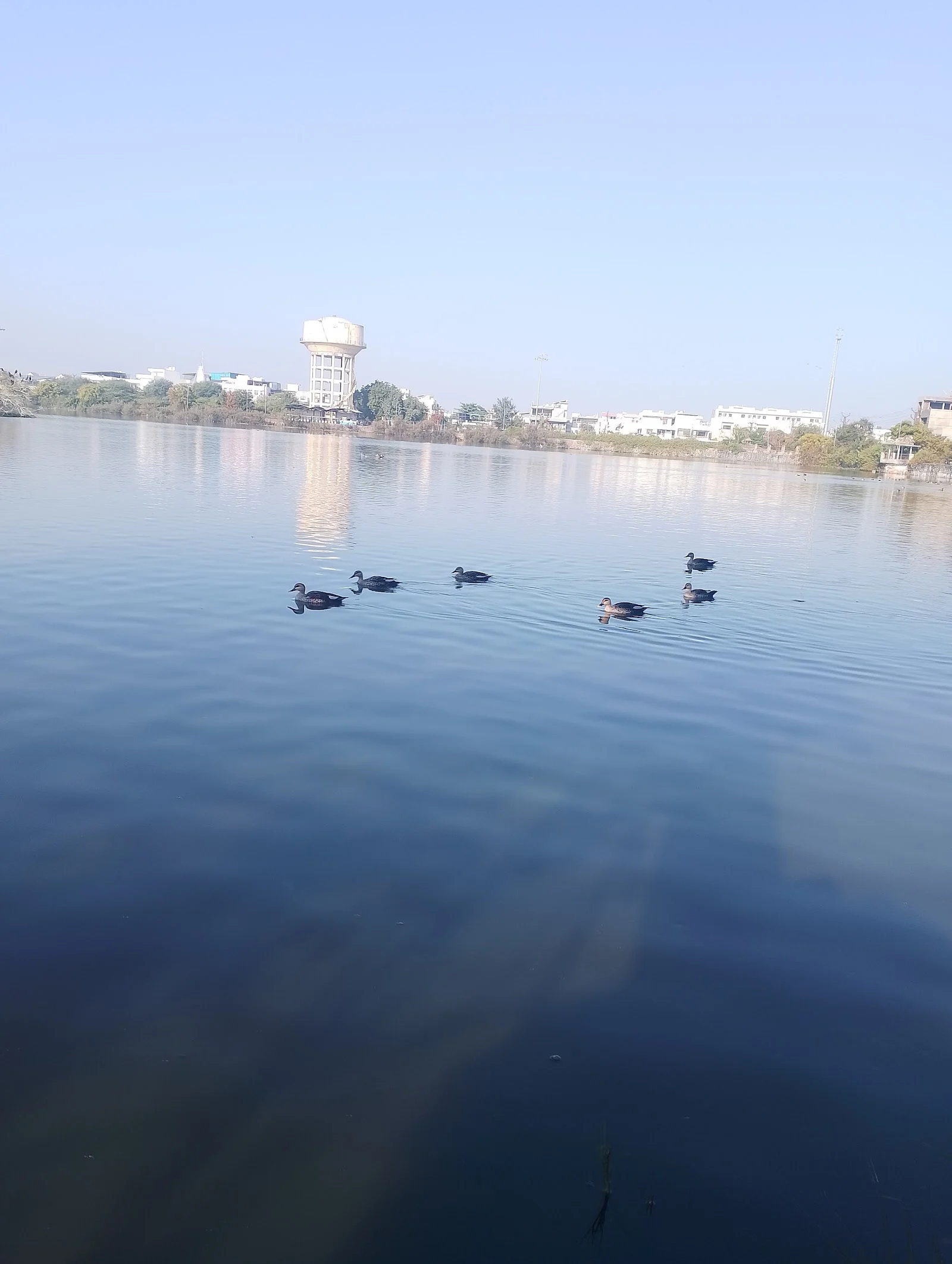 Bhilwara gallery 7