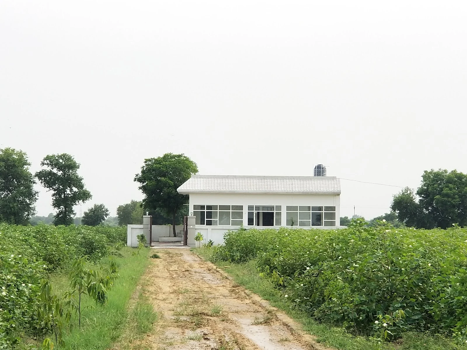 Bhiwani gallery 5