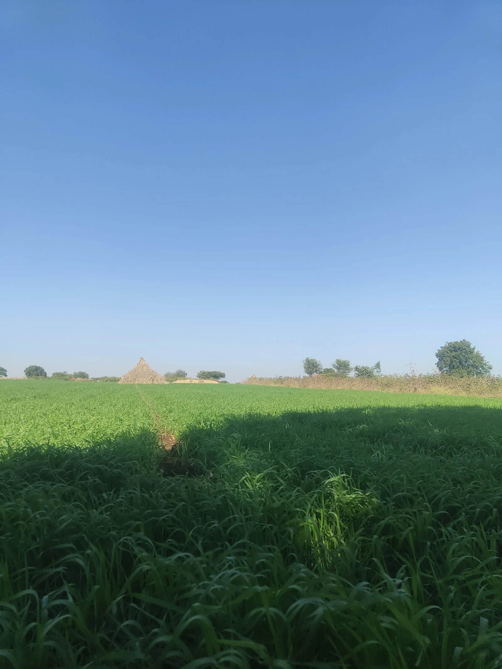 Bhokardan gallery 2