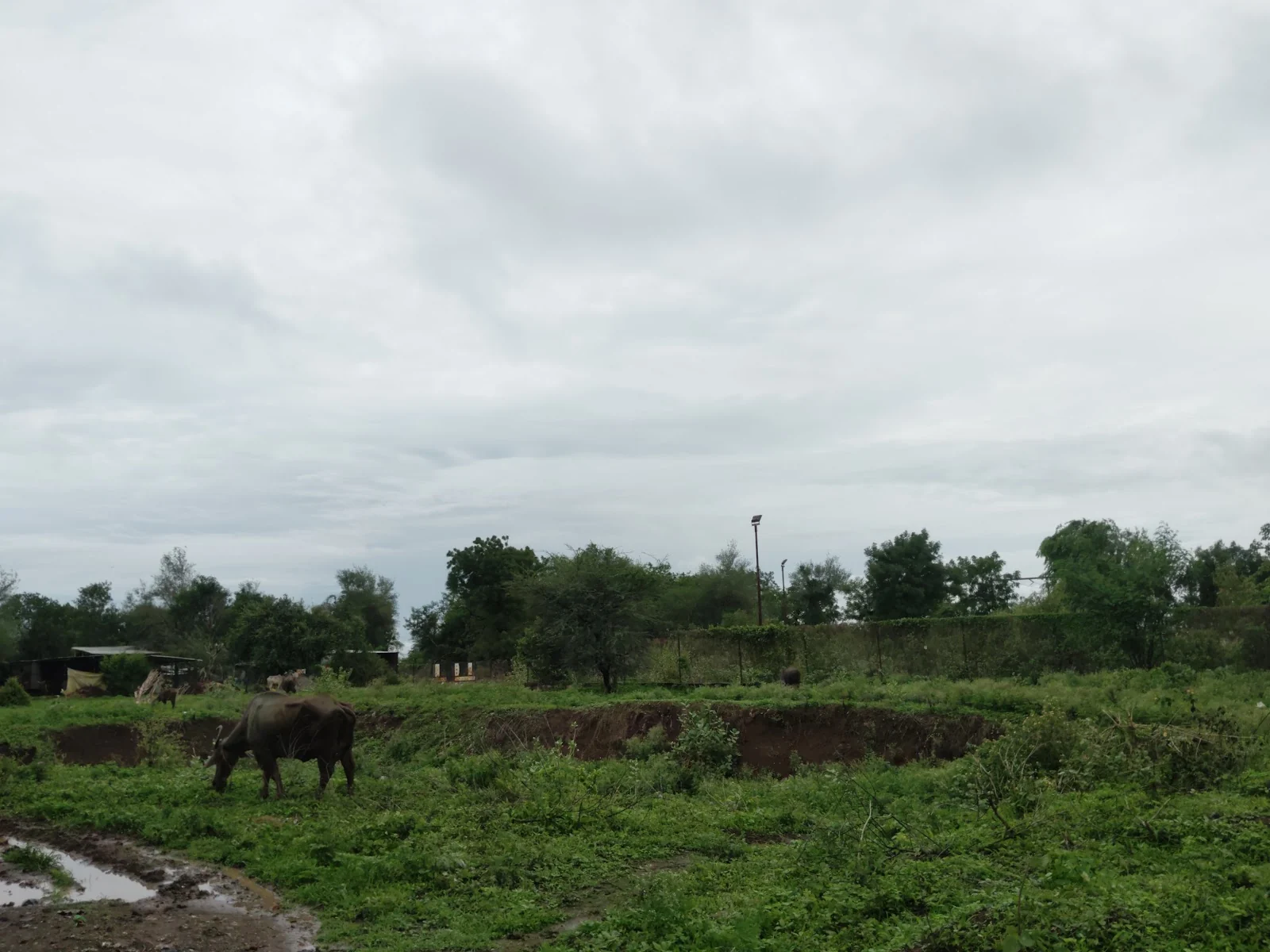 Bhusawal gallery 3