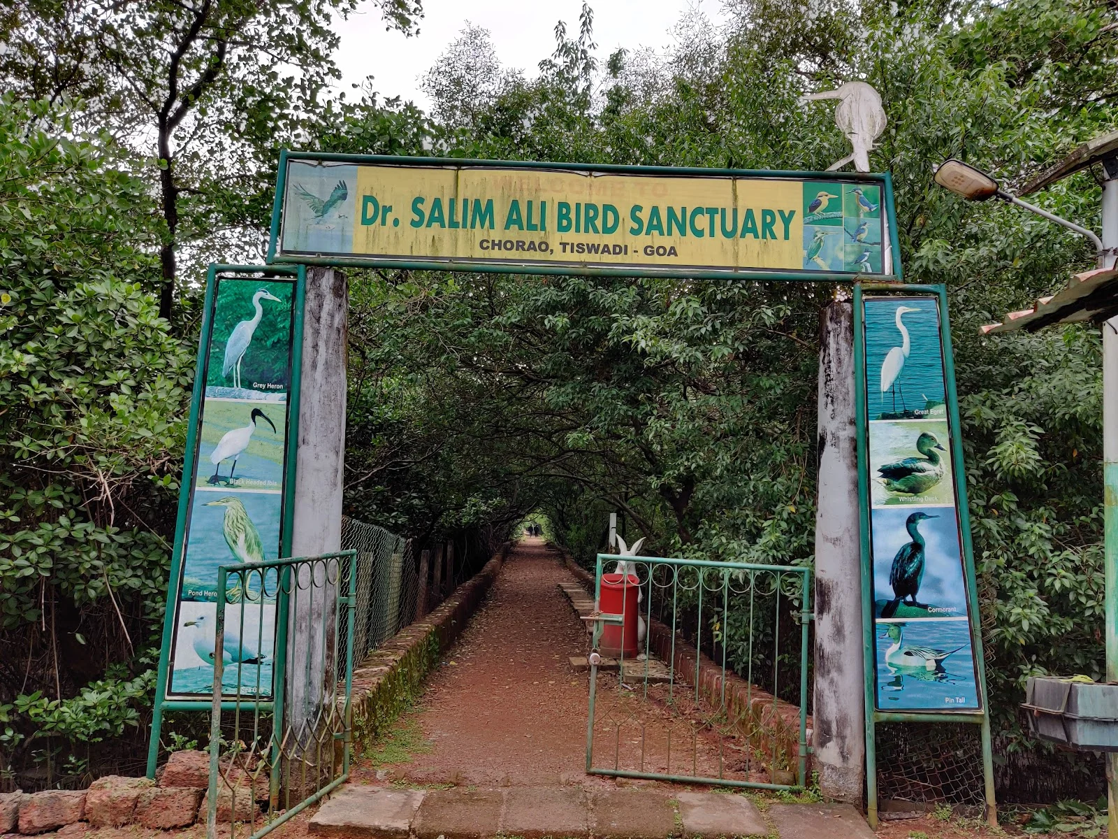 Bicholim gallery 7