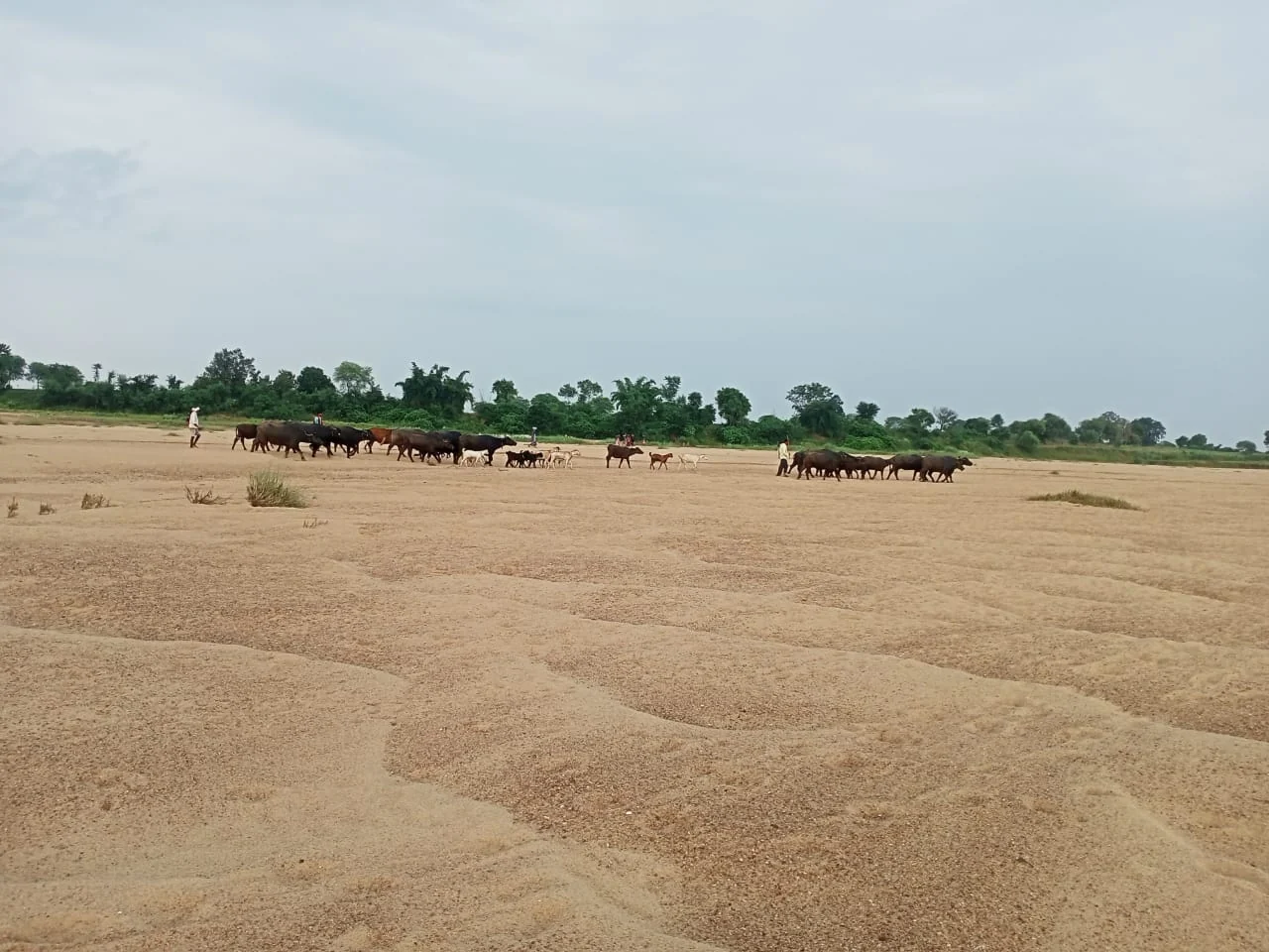 Brahmapuri gallery 1