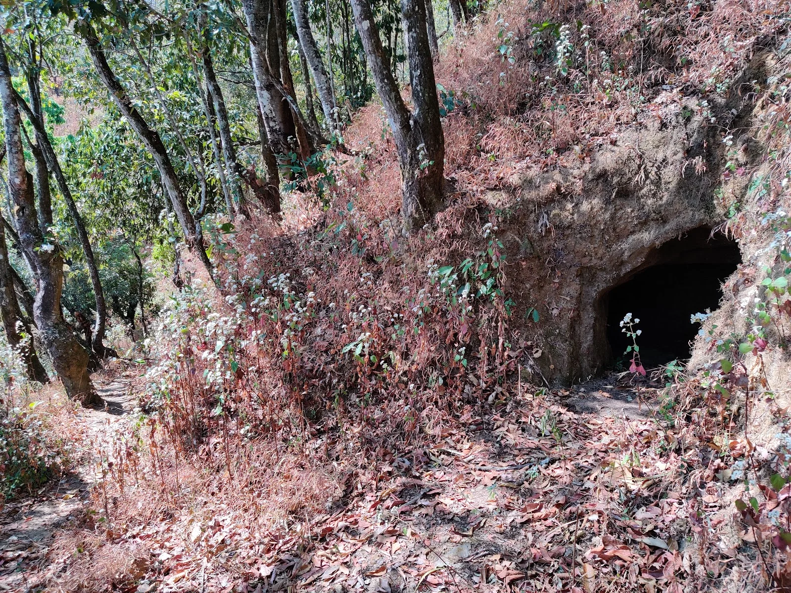 Champhai gallery 5