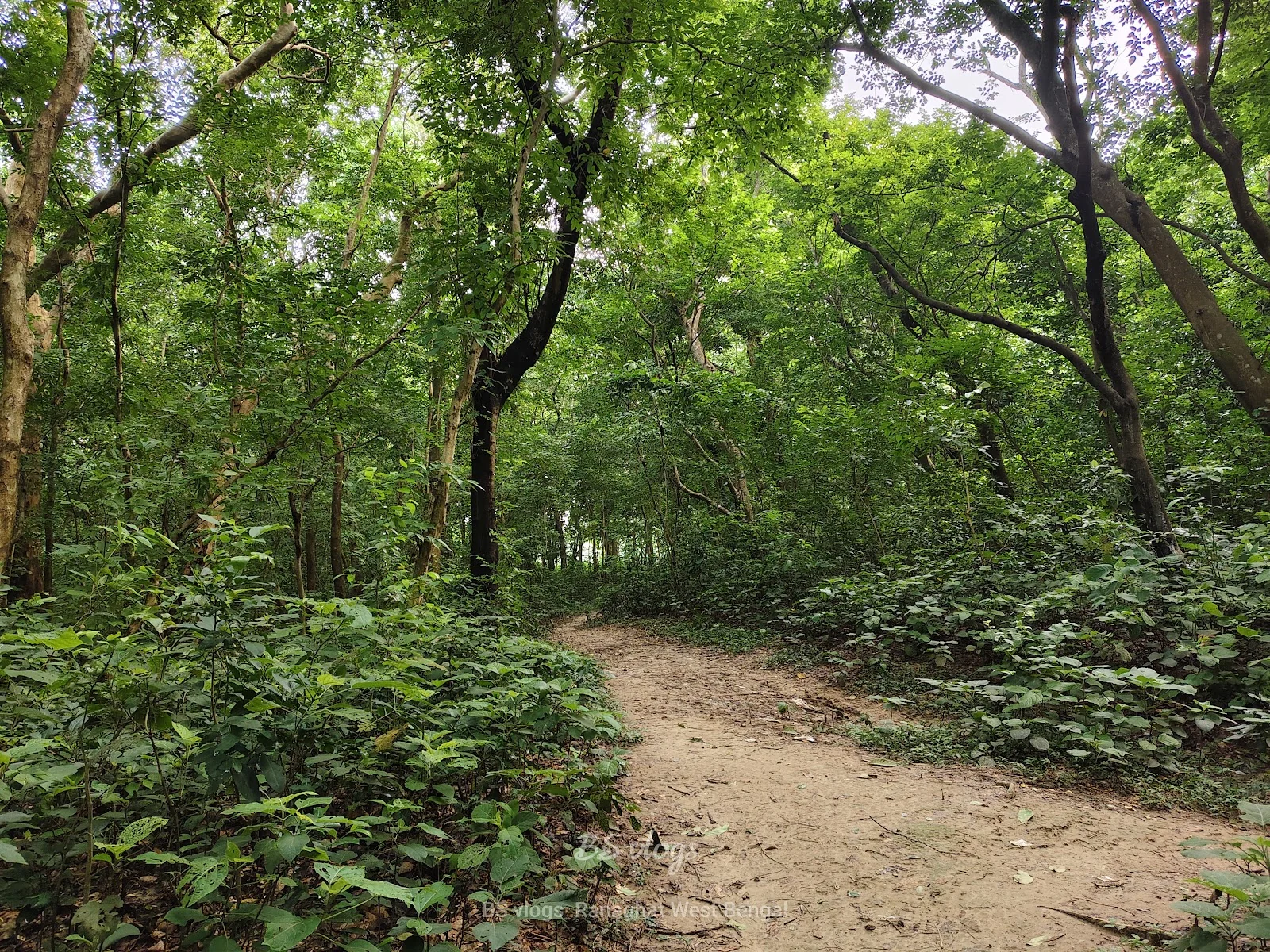 Chandrapur gallery 3