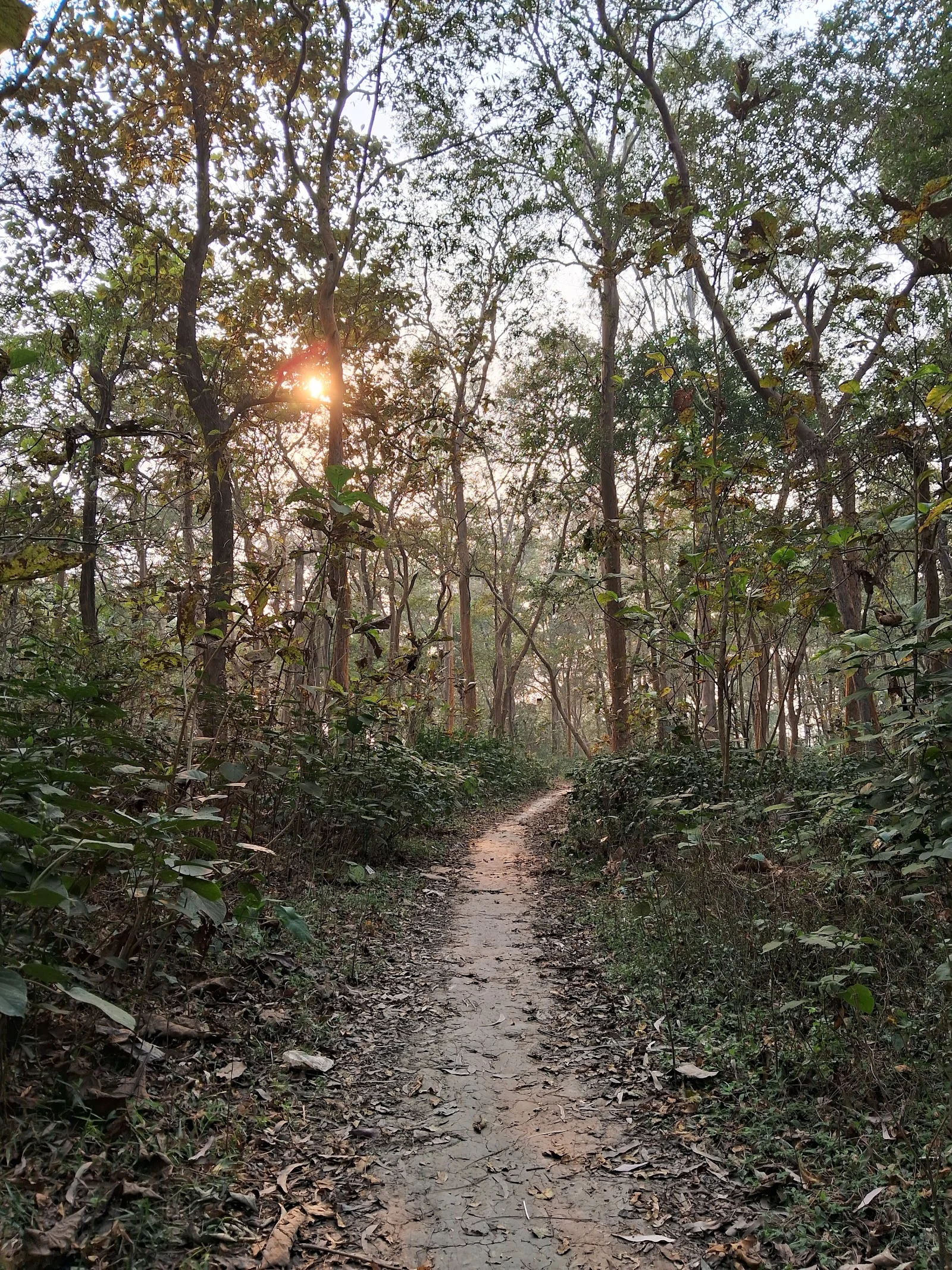 Chandrapur gallery 4