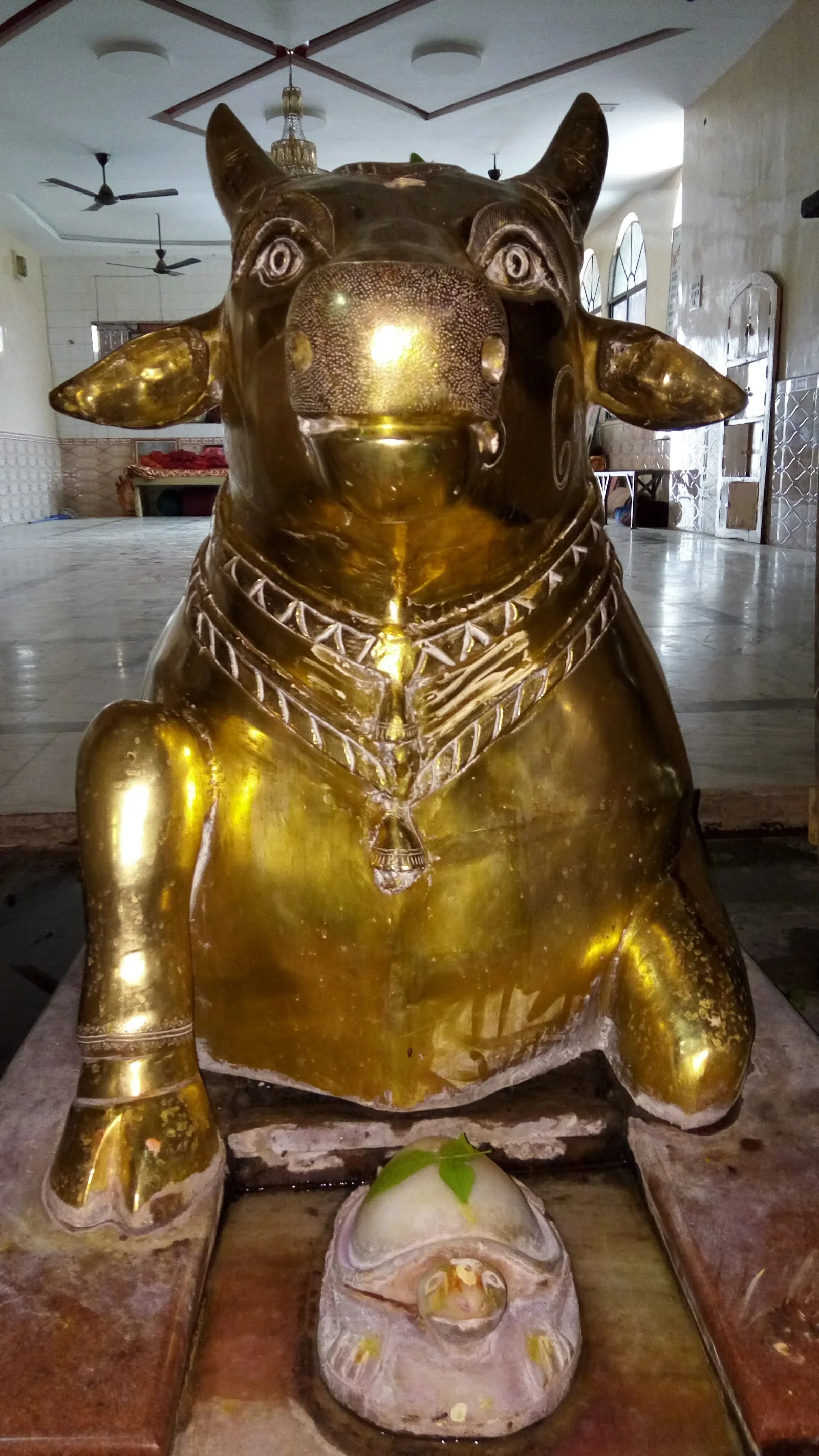 Chandur Railway gallery 5