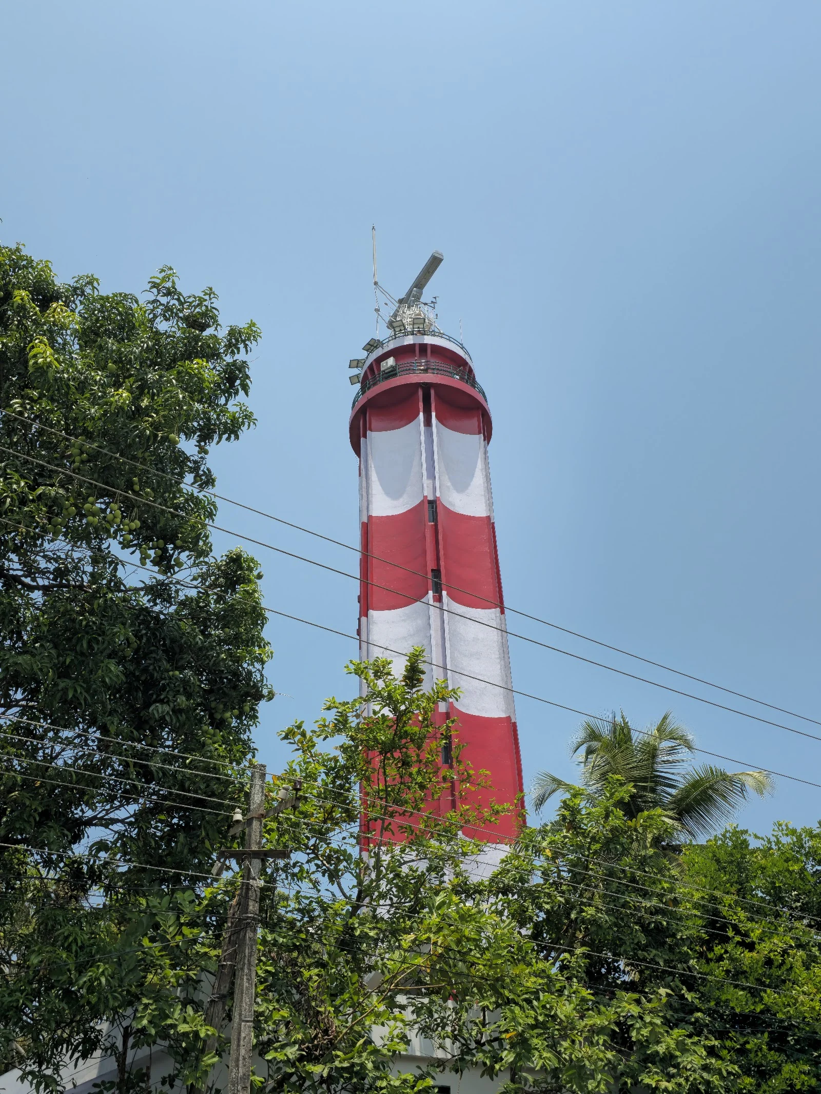 Cherai gallery 6