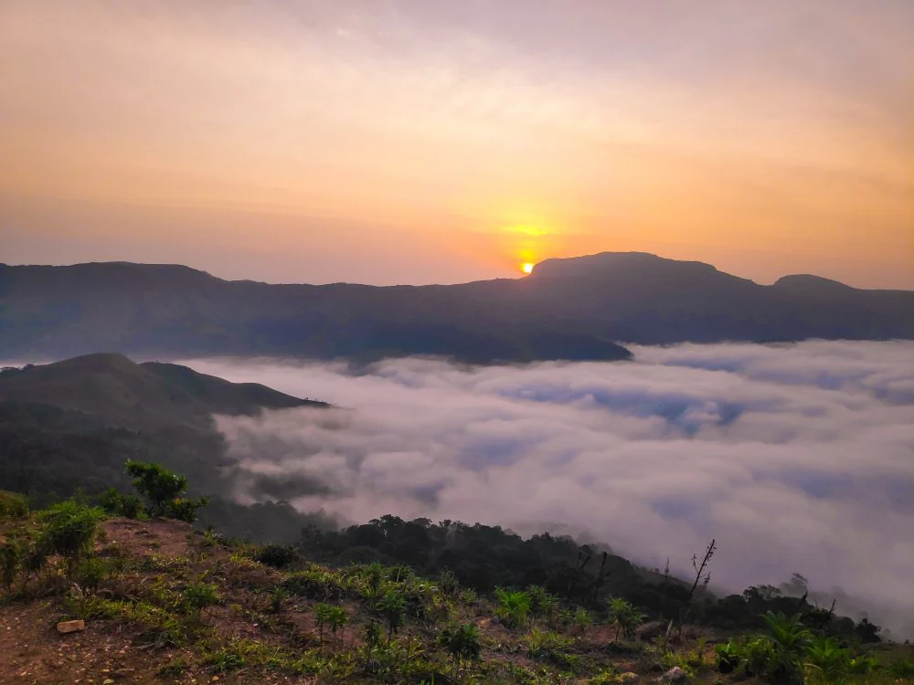 Coorg gallery 1