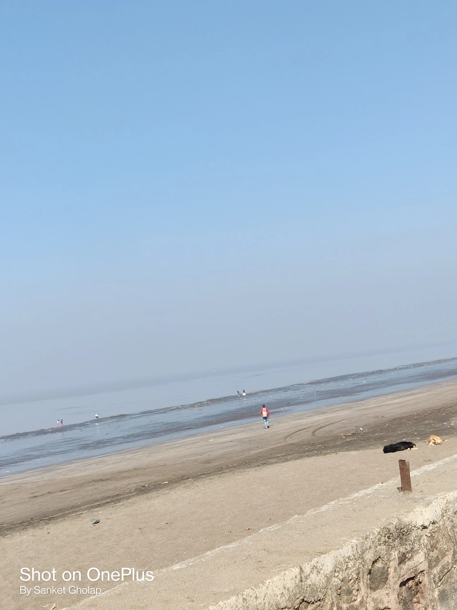 Dahanu gallery 2