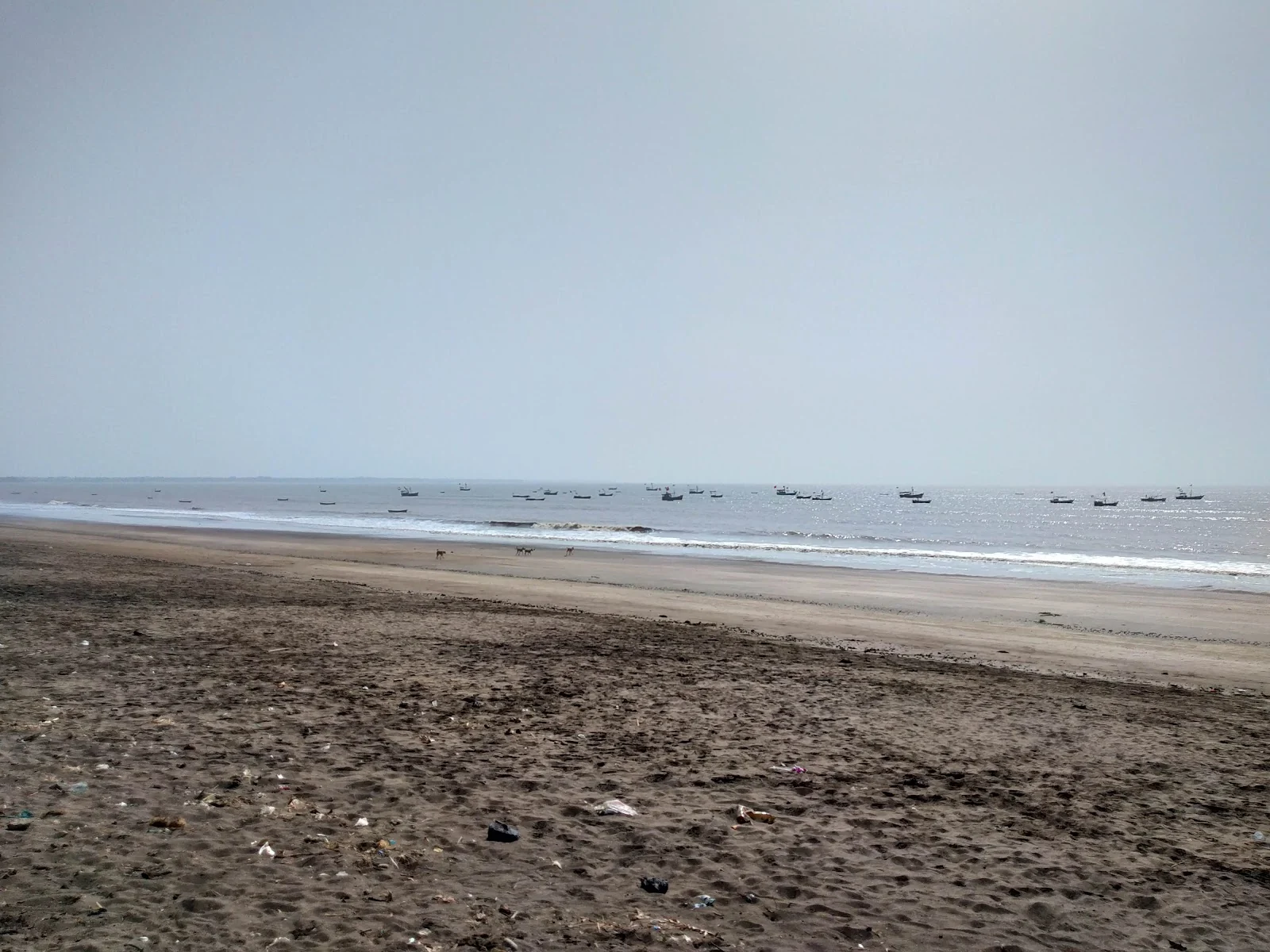 Dahanu gallery 4