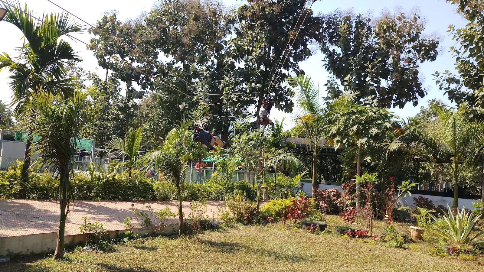Dahanu gallery 7