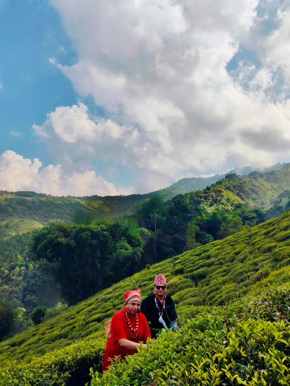 Darjeeling gallery 6