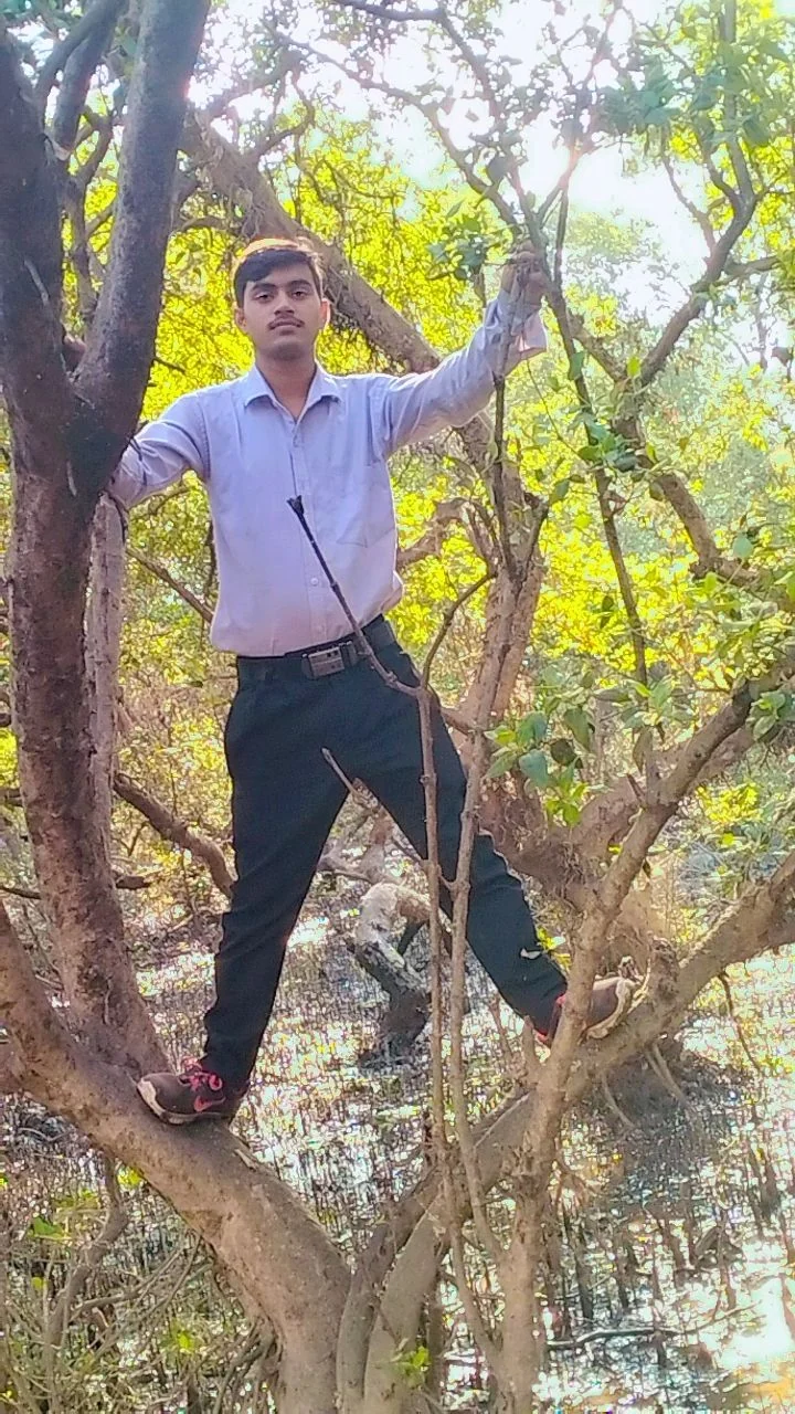 Datia gallery 6