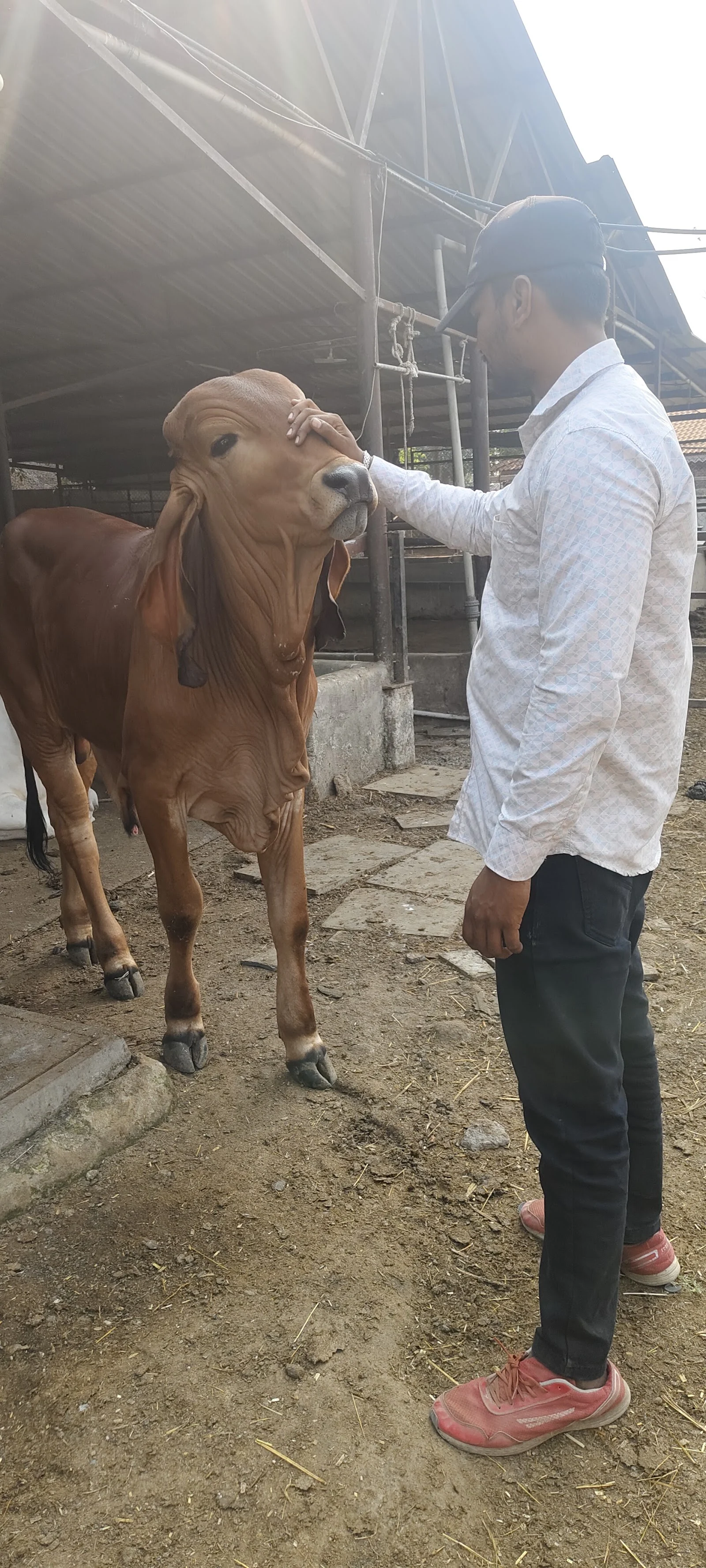 Daund gallery 6