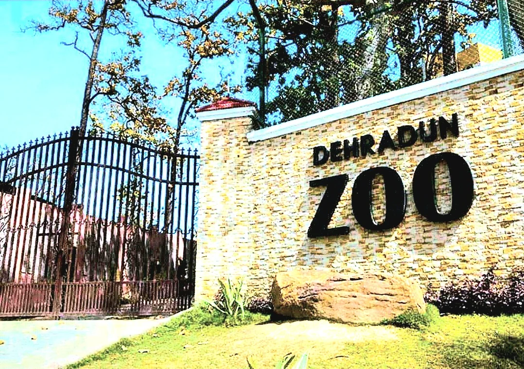 Dehradun gallery 2