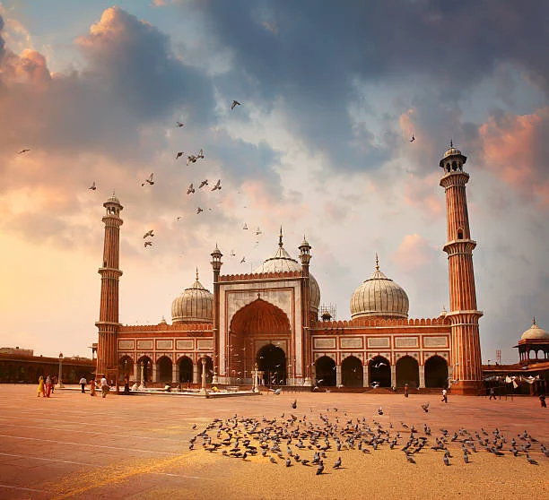 Delhi gallery 2