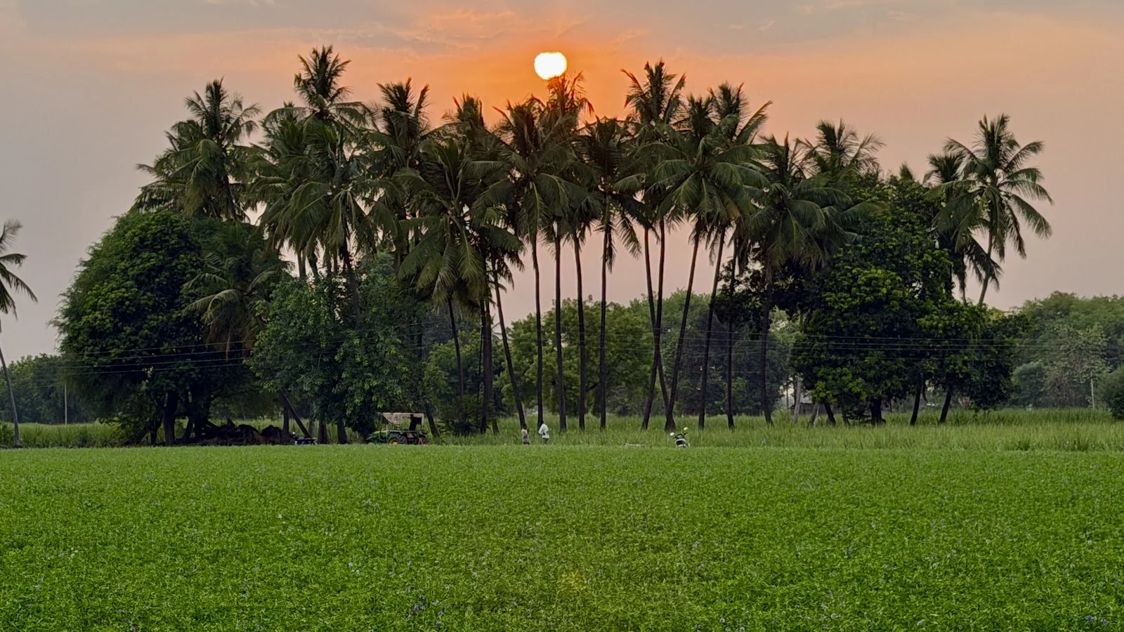 Deolali Pravara gallery 6
