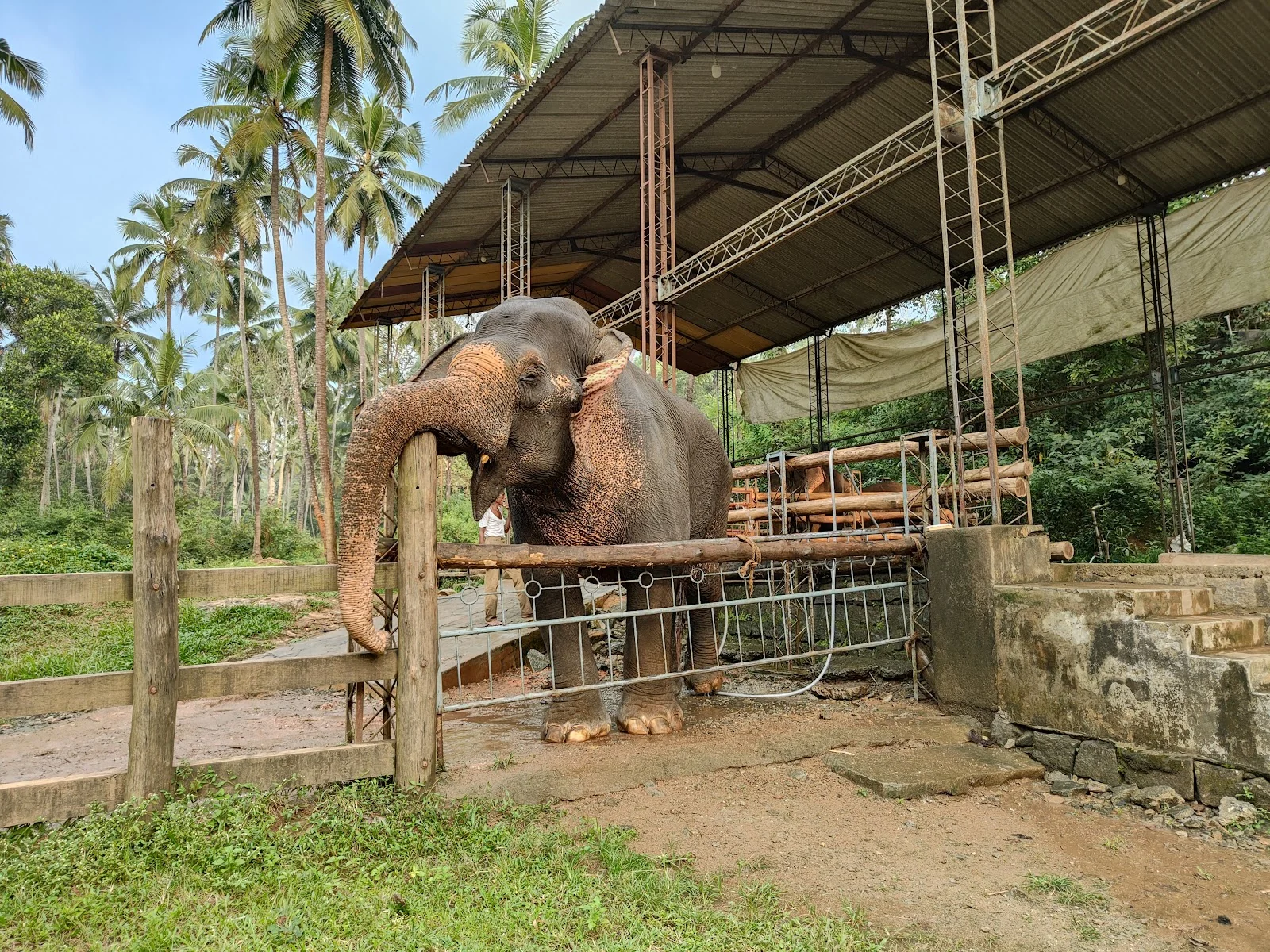 Dharmasthala gallery 6