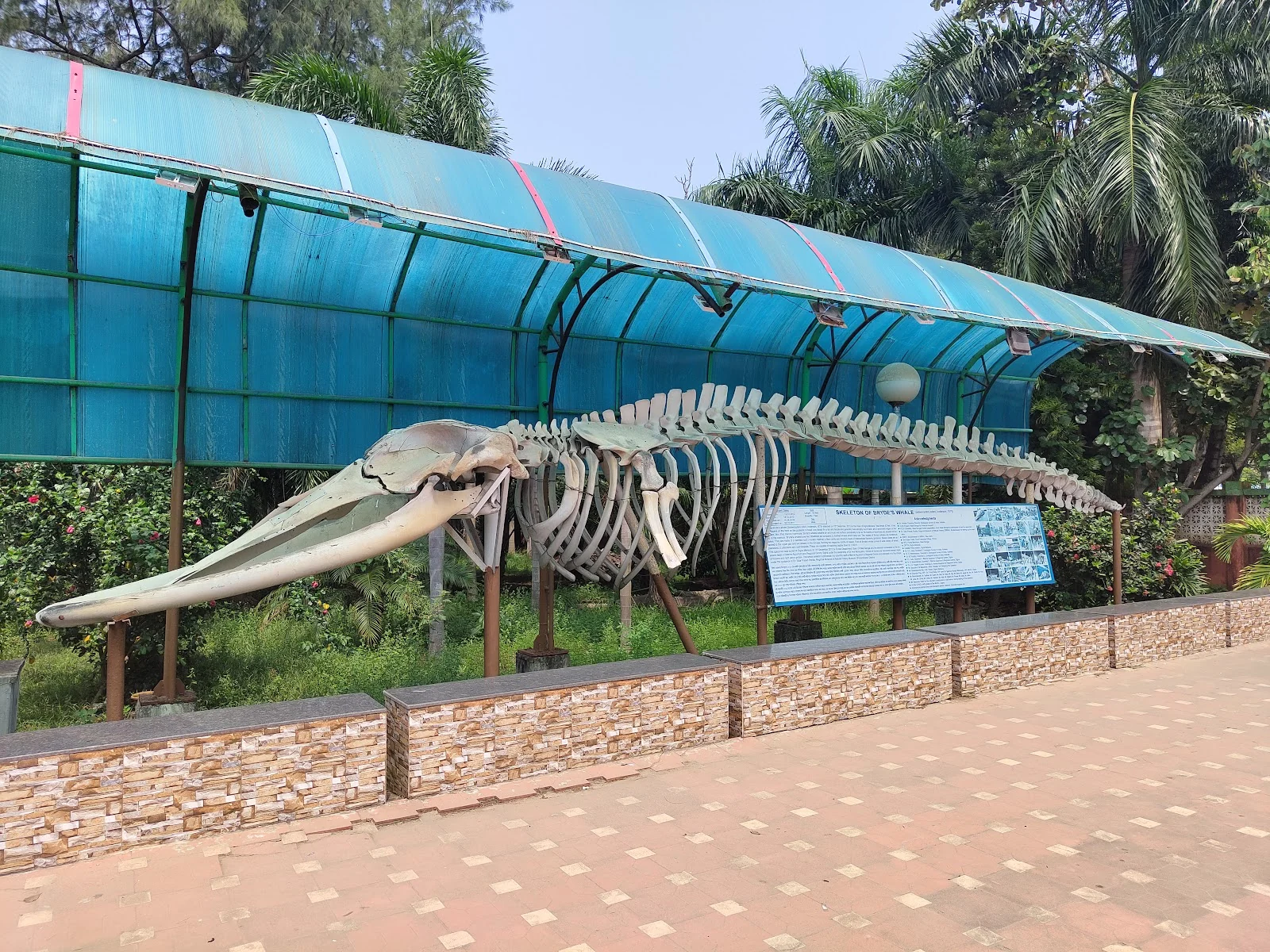 Digha gallery 4