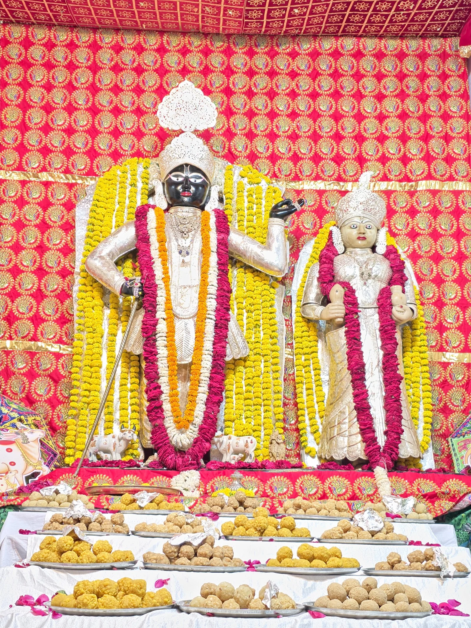 Dungarpur gallery 3