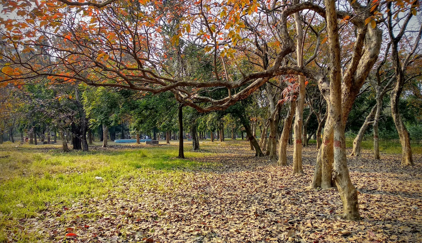 Durgapur gallery 3