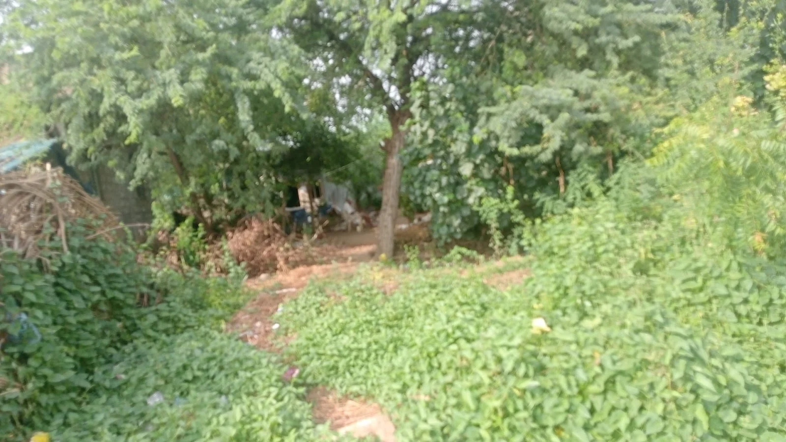 Eluru gallery 5