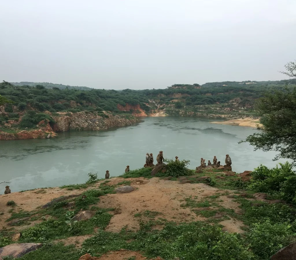 Faridabad gallery 6