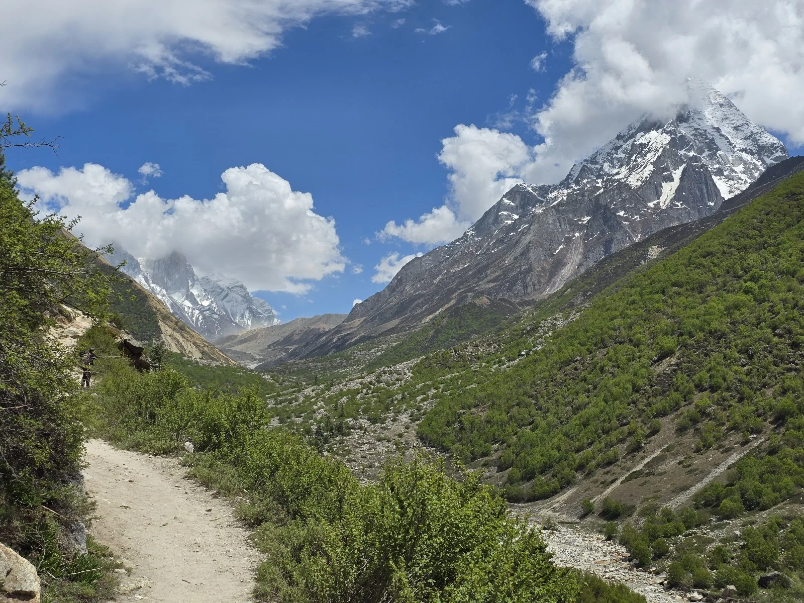 Gangotri gallery 4