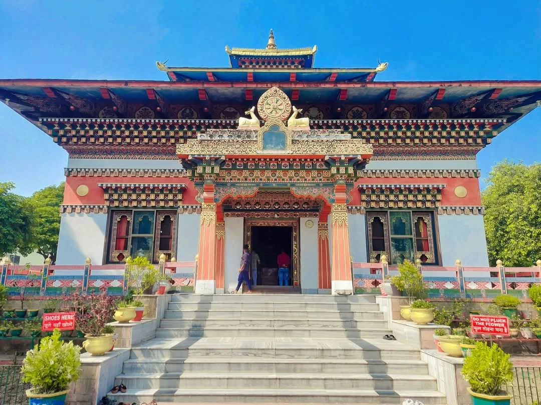 Gaya gallery 6