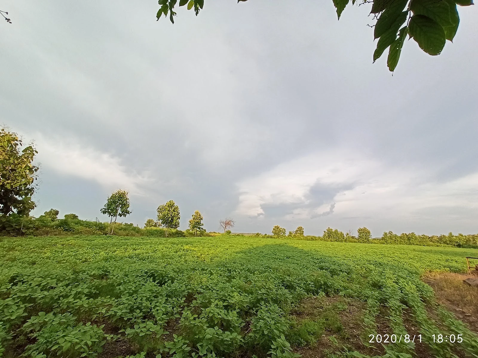 Ghatanji gallery 2
